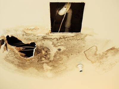 Professional water damage restoration services in London - Phoenix Property Recovery